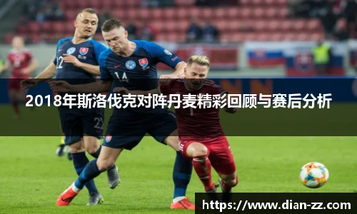 2018年斯洛伐克对阵丹麦精彩回顾与赛后分析